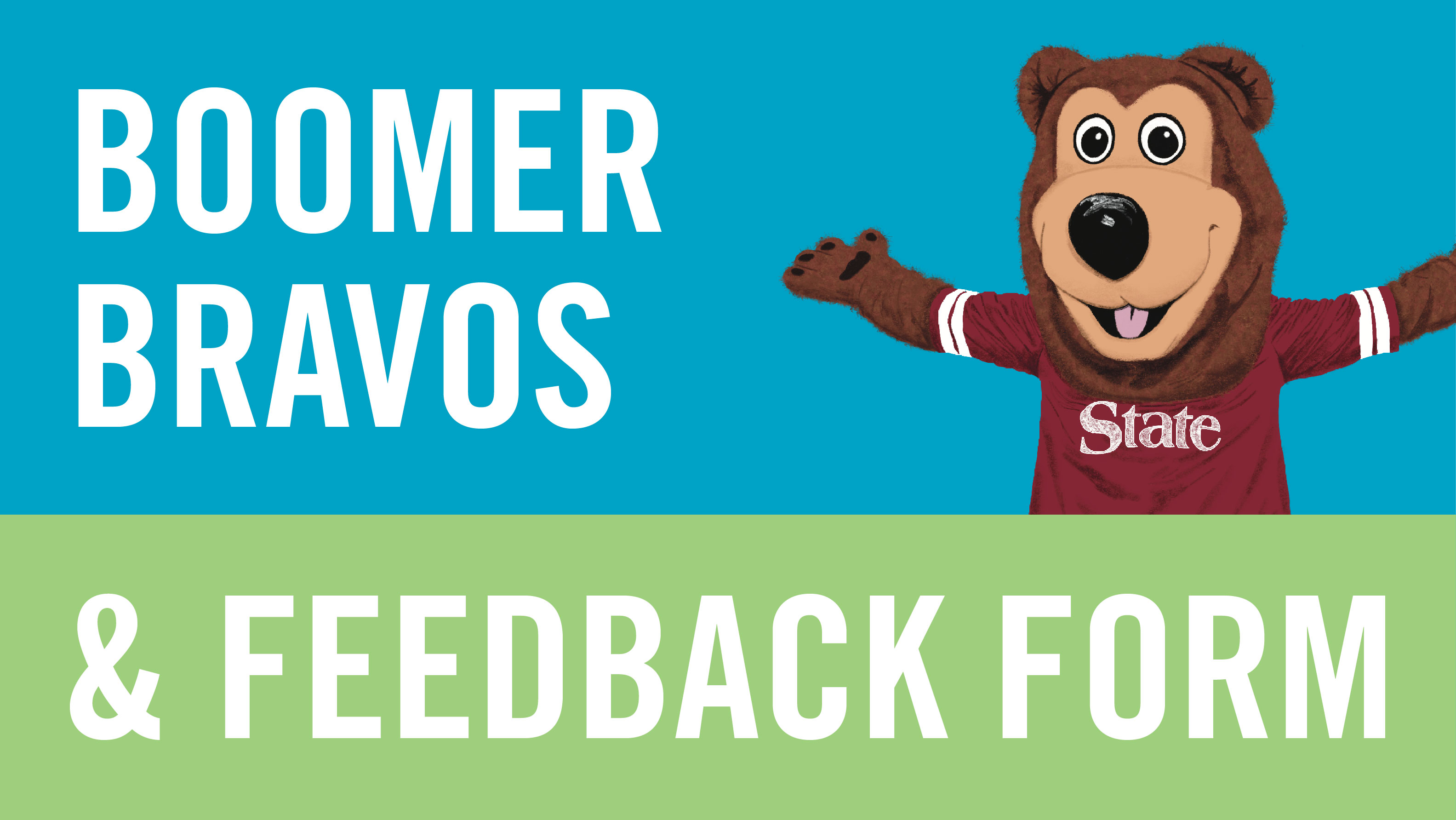 Boomer Bravos and Feedback form