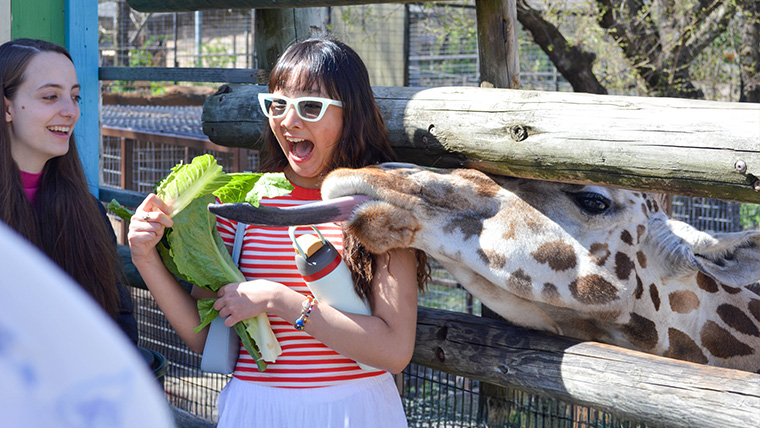 LLC students on zoo trip with giraffe