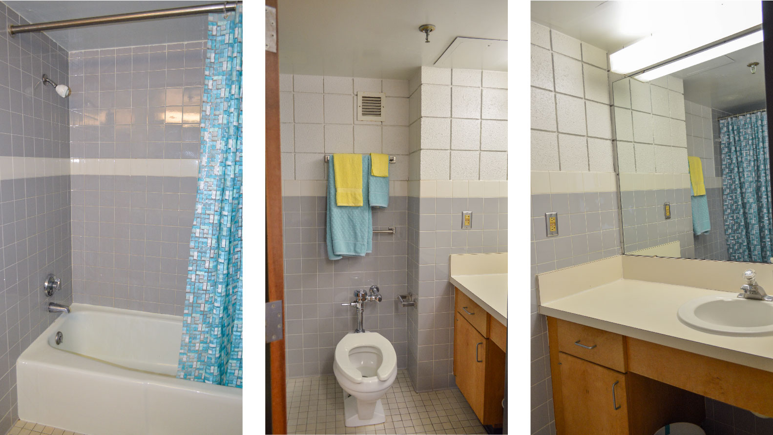 2-person En-suite Bathroom with countertop sink toilet shower and towel racks