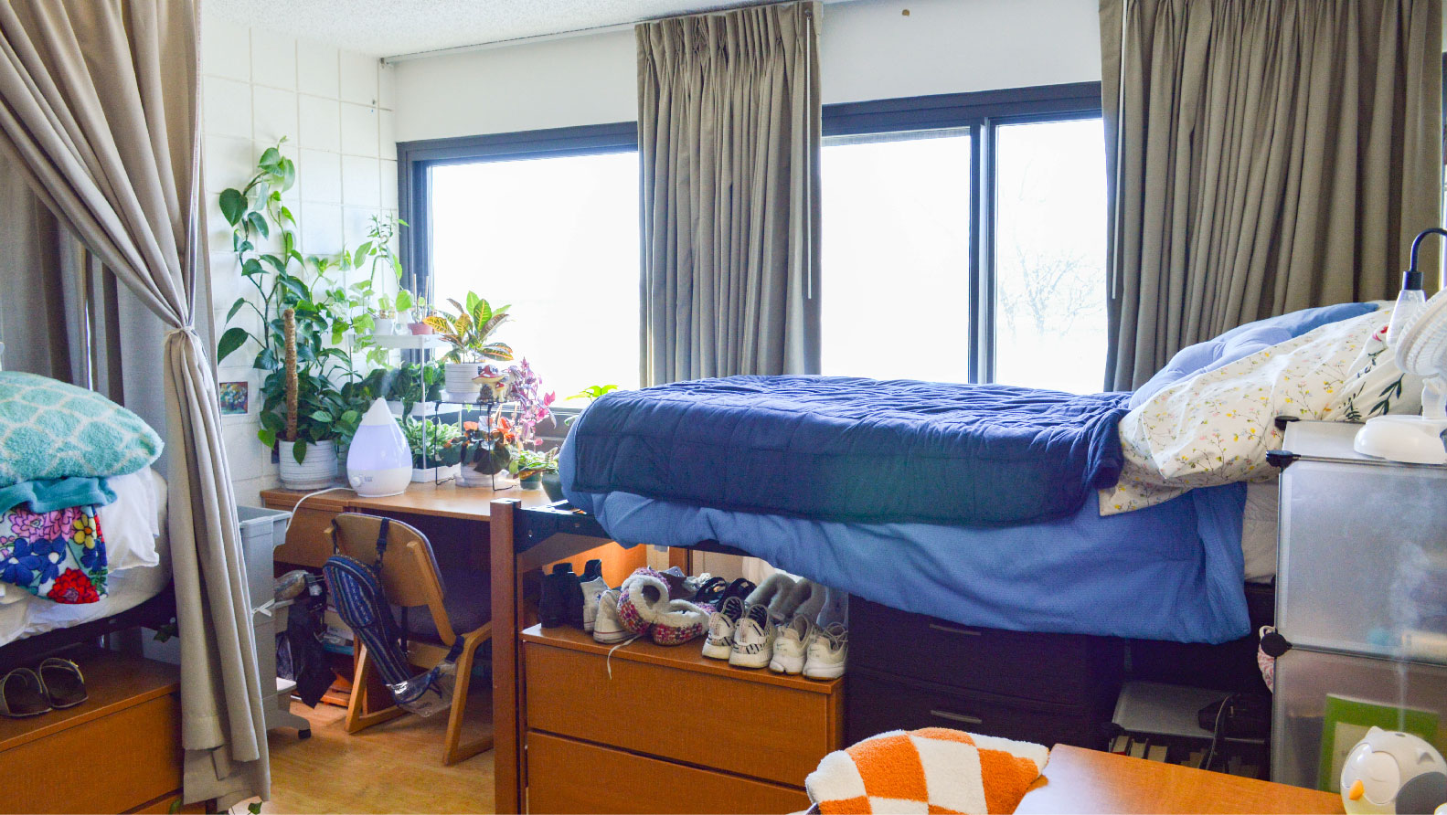 Bed and desk with lots of plants