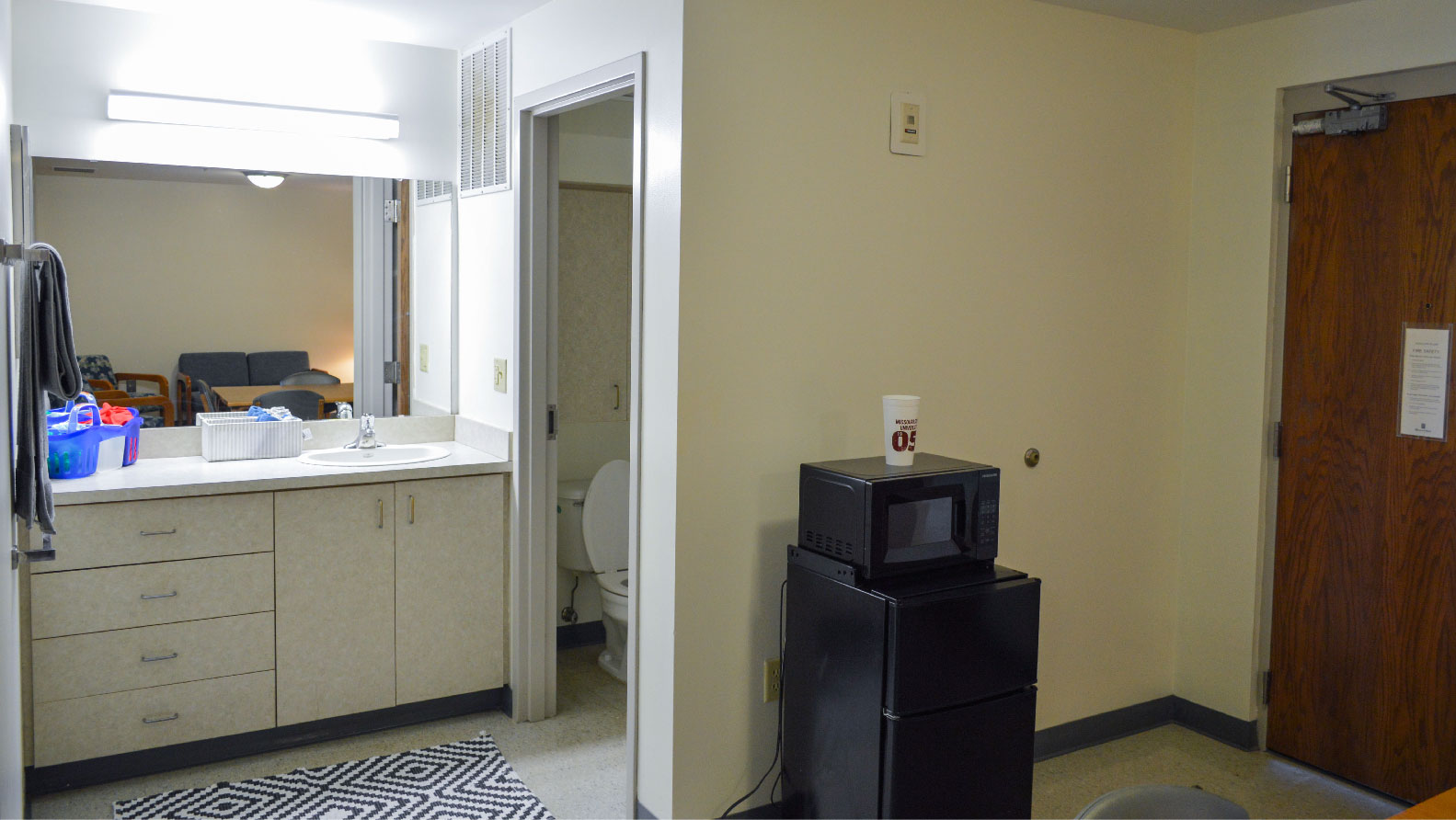 Scholars House En-suite vanity area countertop sink large mirror cabinets microwave and mini fridge
