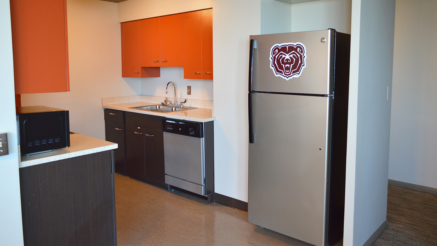 kitchen with cabinets sink dishwasher fridge oven stove and microwave